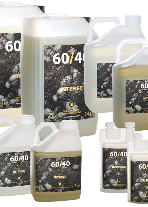 60/40 B