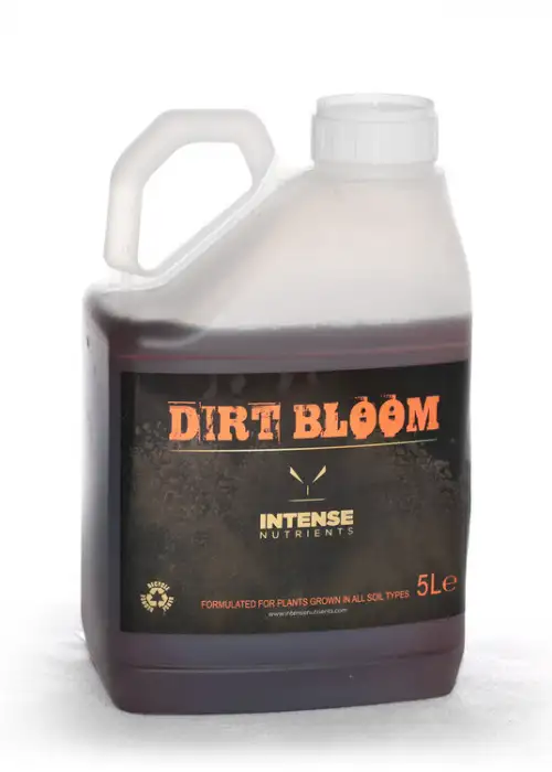 Dirt Bloom