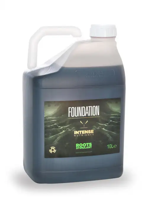 Foundation