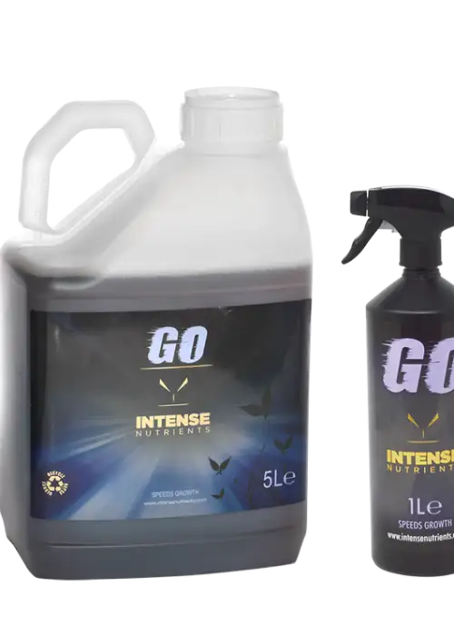 GO
