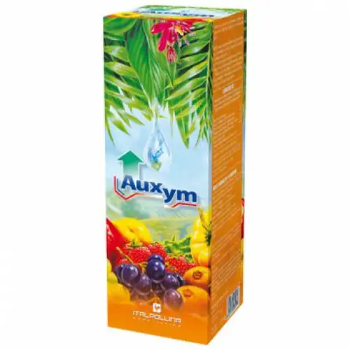Auxym