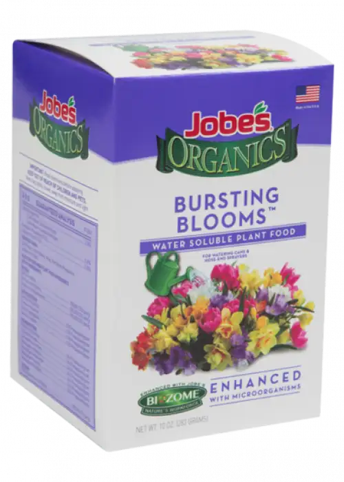 Bursting Blooms