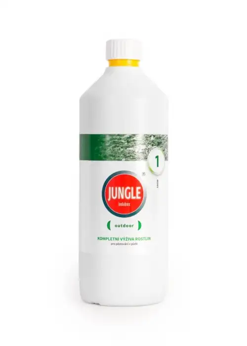 Jungle Outdoor 1