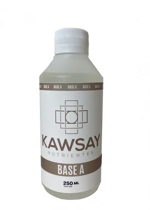 Base A