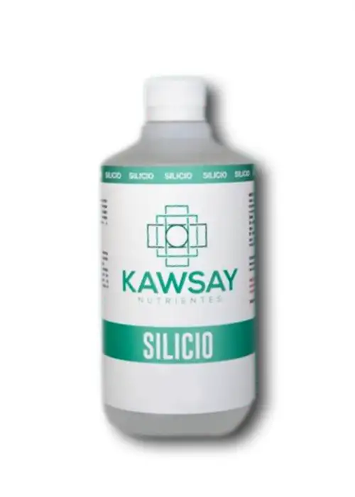 Silicio