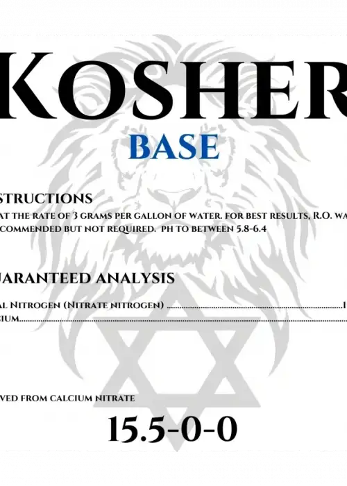 Base