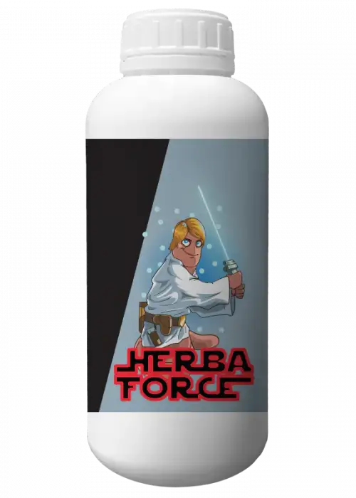 Force