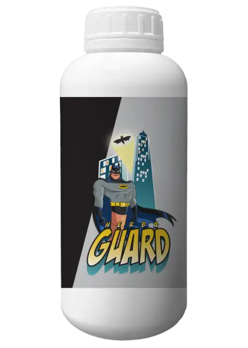 Guard