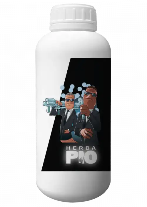 Pro