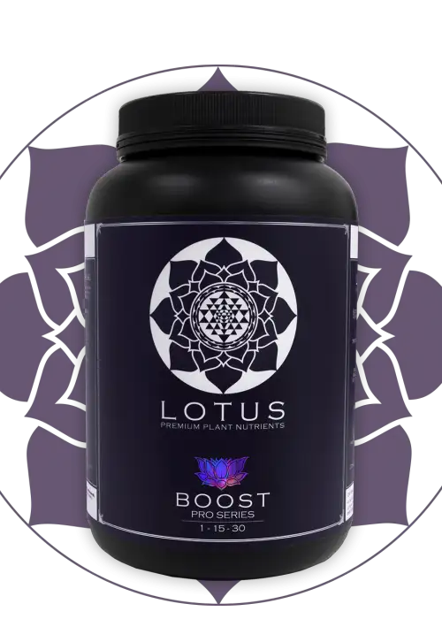 Boost