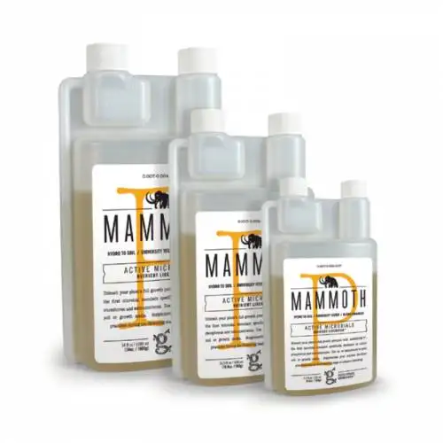 Mammoth P