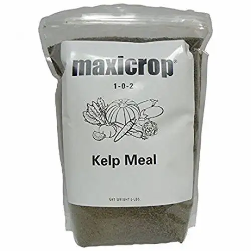 Kelp Meal