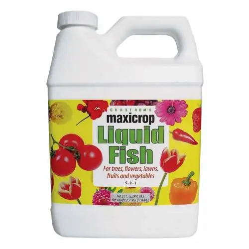 Liquid Fish