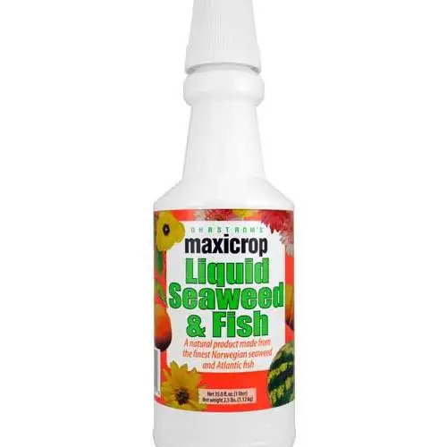 Liquid Seaweed & Fish