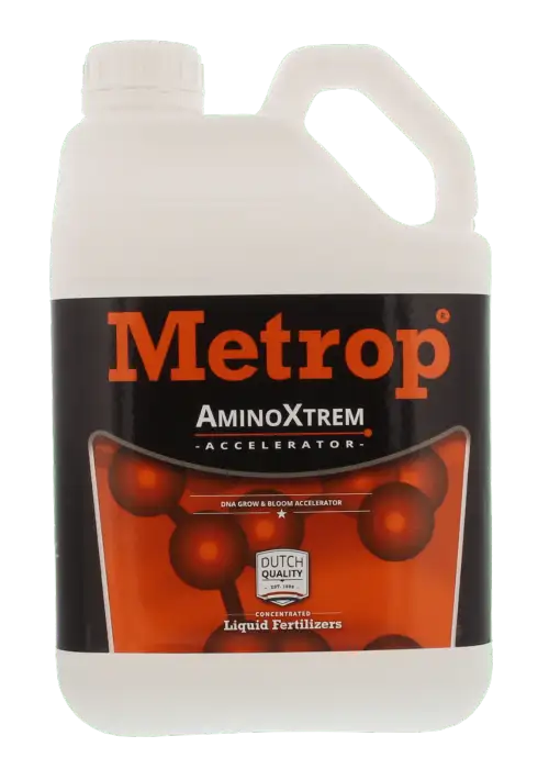 AminoXtrem