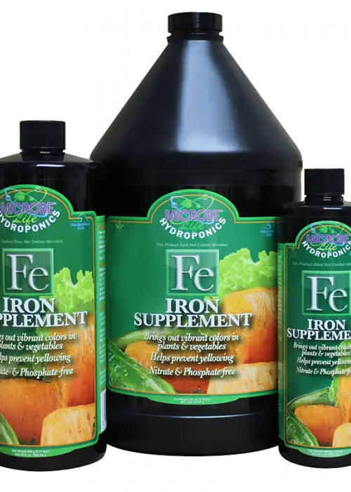 Iron Supplement