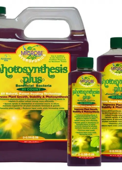 Photosynthesis Plus
