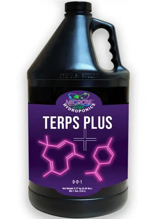 Terps Plus
