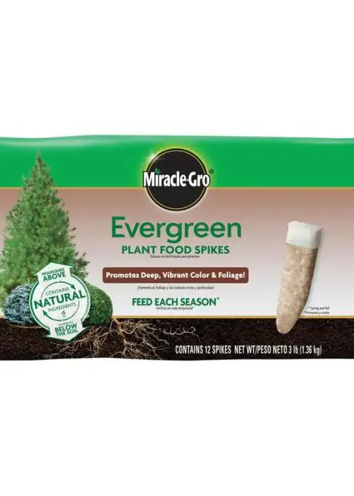 Evergreen Plant Food Spikes