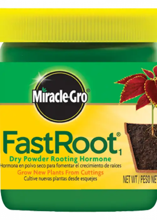 FastRoot1 Dry Powder Rooting Hormone