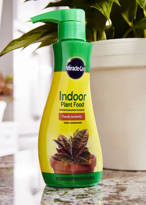 Indoor Plant Food