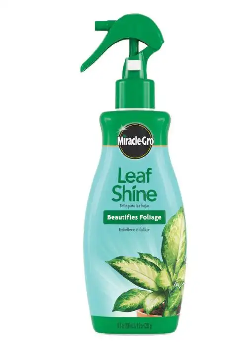 Leaf Shine
