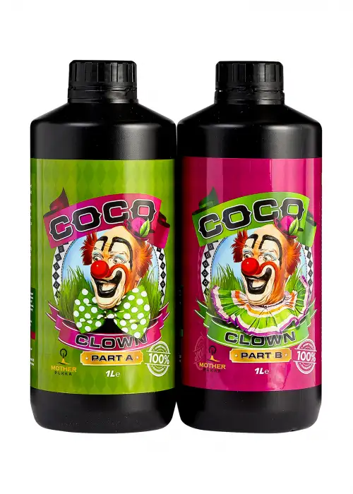 Coco The Clown B