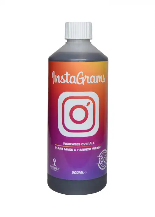 Instagrams