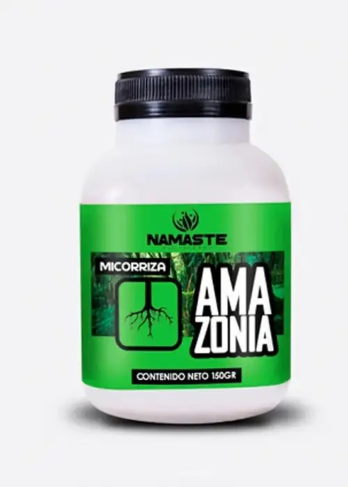 Amazonia Roots