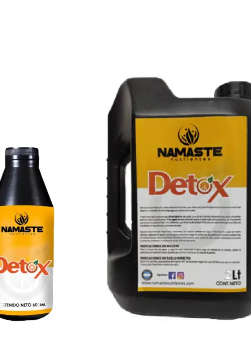 Detox