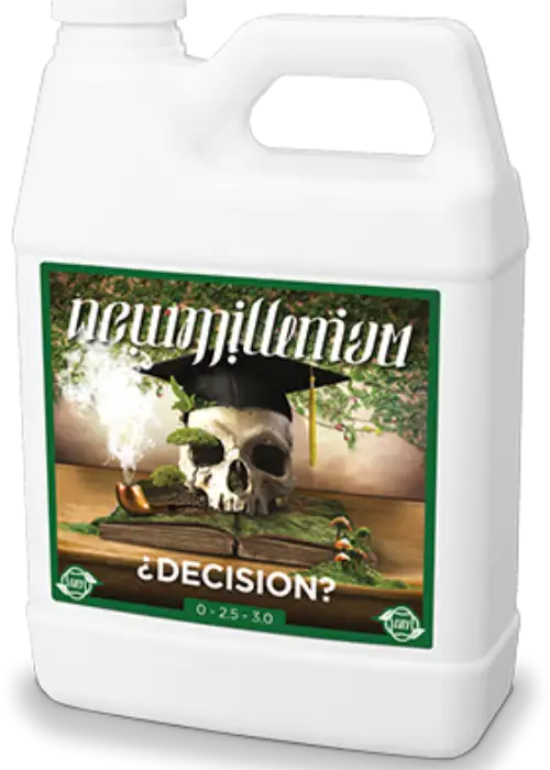 Decision