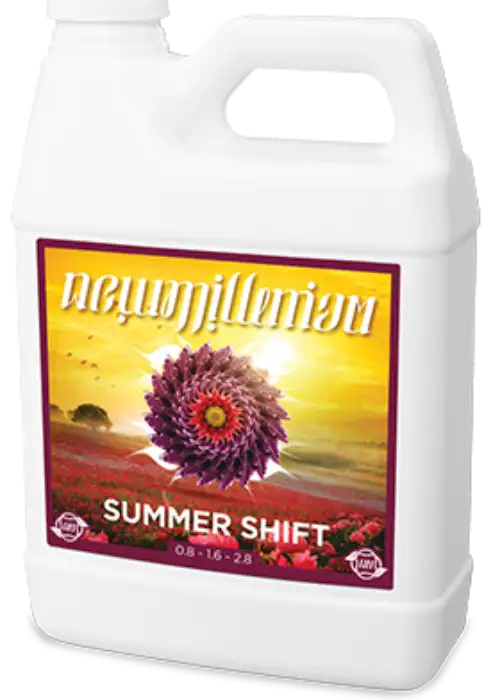 Summer Shift