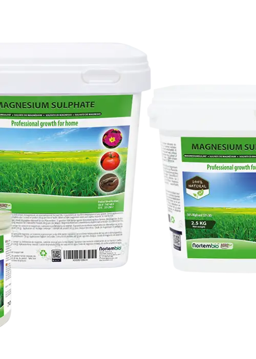 Magnesium Sulphate
