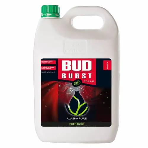 Bud Burst