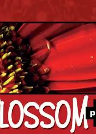 Blossom+ Liquid