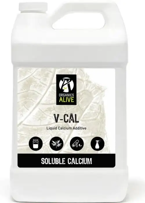 V-CAL