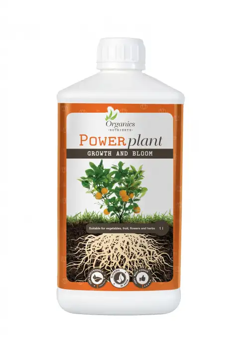 Power Plant
