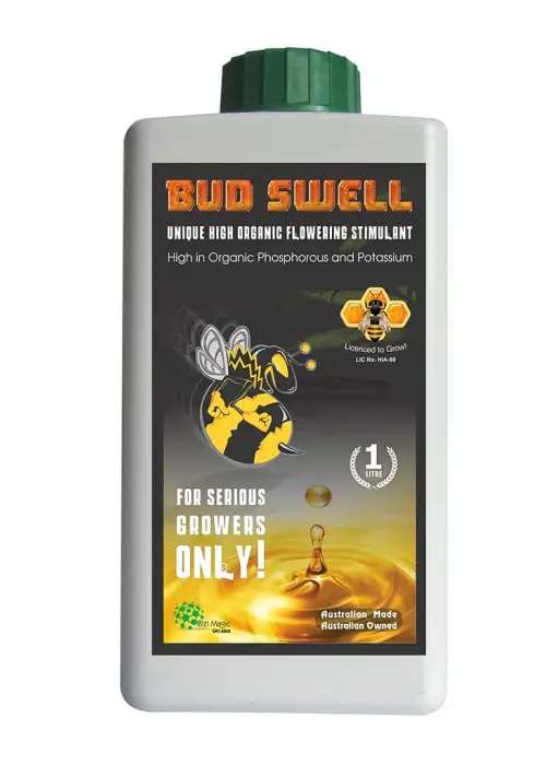 Bud Swell