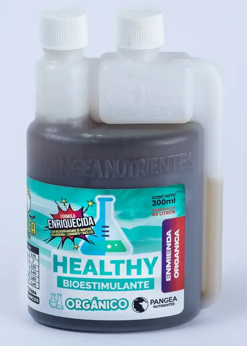 Healthy
