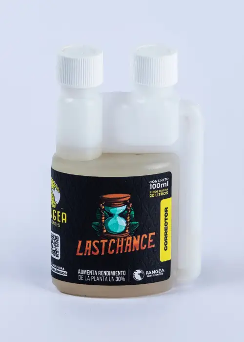 Last Chance