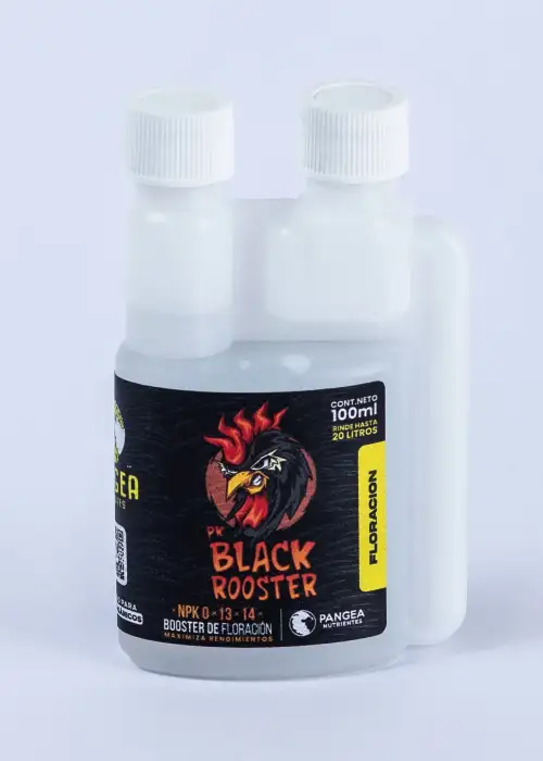PK Black Rooster
