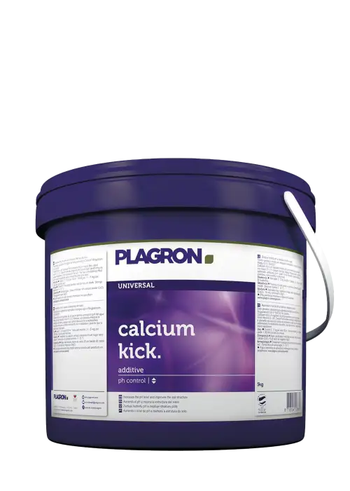 Calcium Kick