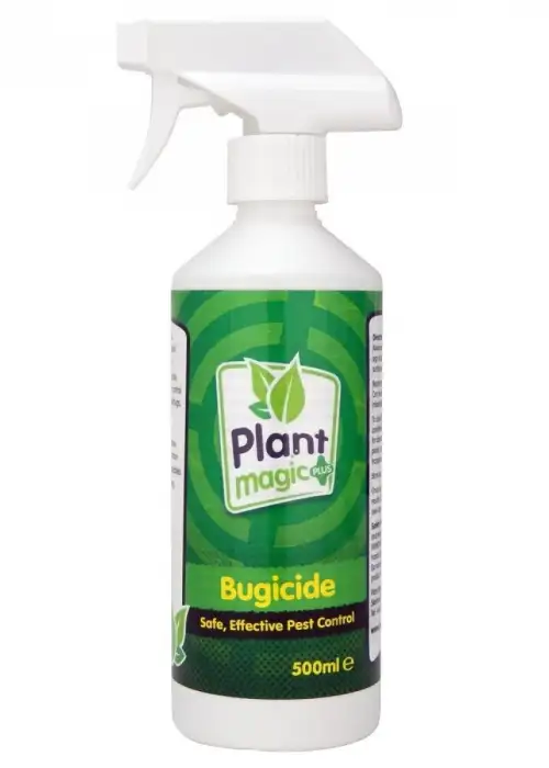 Bugicide