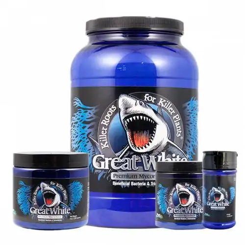 Great White
