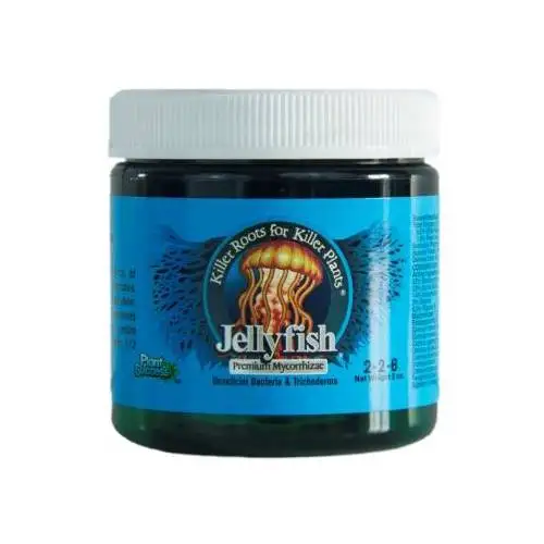 Jellyfish