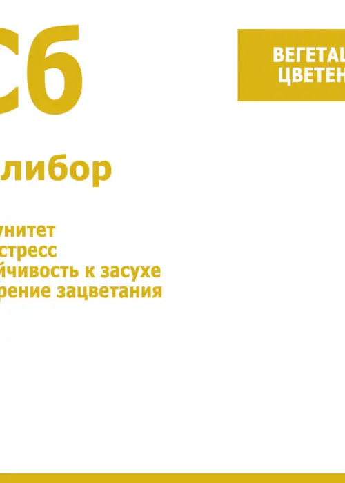 Salibor