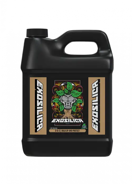 ExoSilica