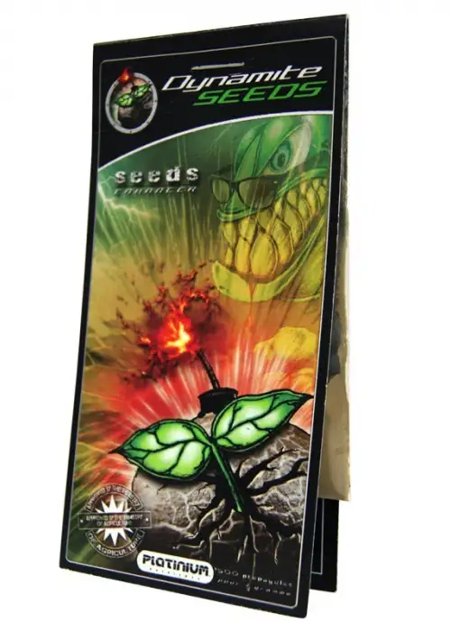 Dynamite Seeds