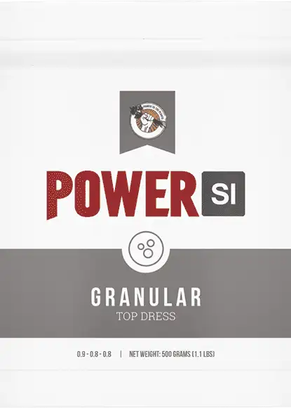 Granular