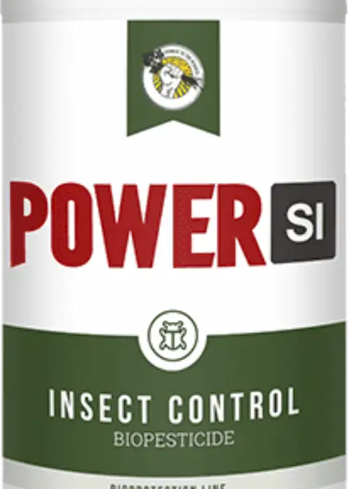 Insect Control
